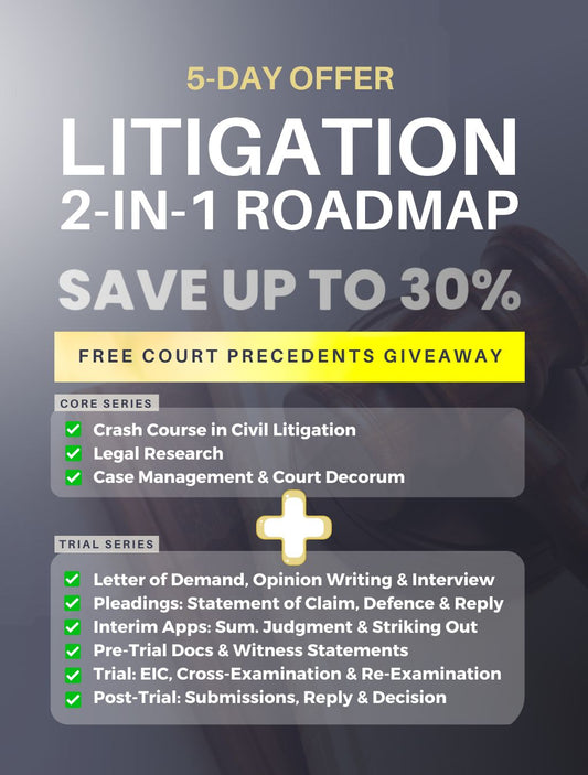 Litigation 2-in-1 Roadmap