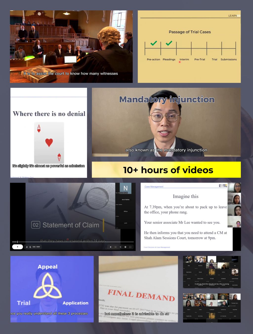 Litigation 2-in-1 Roadmap